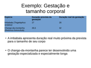 Exemplo: Gestação e
tamanho corporal
Espécie Duração prevista da
gestação
Duração real da gestação
Imbabala (Tragelaphus
scriptus)
27 26
Chango-da-montanha
(Redunca fulvorufula)
26,5 32
● A imbabala apresenta duração real muito próxima da prevista
para o tamanho de seu corpo
● O chango-da-montanha parece ter desenvolvido uma
gestação especializada e especialmente longa
 