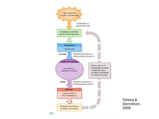 Tortora &
Derrickson,
2009
 