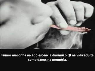 Fumar maconha na adolescência diminui o QI na vida adulta
               como danos na memória.
 