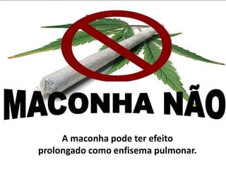 A maconha pode ter efeito
prolongado como enfisema pulmonar.
 