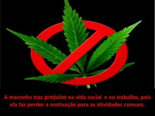 A maconha traz prejuízo na vida social e no trabalho, pois
  ela faz perder a motivação para as atividades comuns.
 