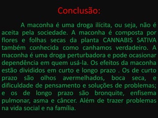 Conclusão:
       A maconha é uma droga ilícita, ou seja, não é
aceita pela sociedade. A maconha é composta por
flores e folhas secas da planta CANNABIS SATIVA
também conhecida como canhamos verdadeiro. A
maconha é uma droga perturbadora e pode ocasionar
dependência em quem usá-la. Os efeitos da maconha
estão divididos em curto e longo prazo . Os de curto
prazo são olhos avermelhados, boca seca, e
dificuldade de pensamento e soluções de problemas;
e os de longo prazo são bronquite, enfisema
pulmonar, asma e câncer. Além de trazer problemas
na vida social e na família.
 