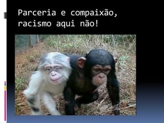 Parceria e compaixão,
racismo aqui não!
 