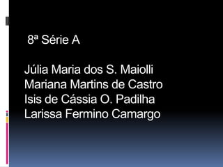 8ª Série A

Júlia Maria dos S. Maiolli
Mariana Martins de Castro
Isis de Cássia O. Padilha
Larissa Fermino Camargo
 