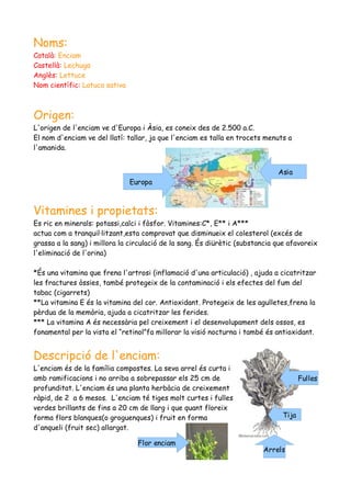 Noms:
Català: Enciam
Castellà: Lechuga
Anglès: Lettuce
Nom científic: Latuca sativa



Origen:
L'origen de l'enciam ve d'Europa i Àsia, es coneix des de 2.500 a.C.
El nom d'enciam ve del llatí: tallar, ja que l'enciam es talla en trocets menuts a
l'amanida.


                                                                              Asia
                               Europa



Vitamines i propietats:
Es ric en minerals: potassi,calci i fòsfor. Vitamines:C*, E** i A***
actua com a tranquil·litzant,esta comprovat que disminueix el colesterol (excés de
grassa a la sang) i millora la circulació de la sang. És diürètic (substancia que afavoreix
l'eliminació de l'orina)

*És una vitamina que frena l'artrosi (inflamació d'una articulació) , ajuda a cicatritzar
les fractures òssies, també protegeix de la contaminació i els efectes del fum del
tabac (cigarrets)
**La vitamina E és la vitamina del cor. Antioxidant. Protegeix de les agulletes,frena la
pèrdua de la memòria, ajuda a cicatritzar les ferides.
*** La vitamina A és necessària pel creixement i el desenvolupament dels ossos, es
fonamental per la vista el “retinol”fa millorar la visió nocturna i també és antioxidant.


Descripció de l'enciam:
L'enciam és de la família compostes. La seva arrel és curta i
amb ramificacions i no arriba a sobrepassar els 25 cm de                              Fulles
profunditat. L'enciam és una planta herbàcia de creixement
ràpid, de 2 a 6 mesos. L'enciam té tiges molt curtes i fulles
verdes brillants de fins a 20 cm de llarg i que quant floreix
forma flors blanques(o groguenques) i fruit en forma                           Tija
d'anqueli (fruit sec) allargat.

                                 Flor enciam
                                                                         Arrels
 