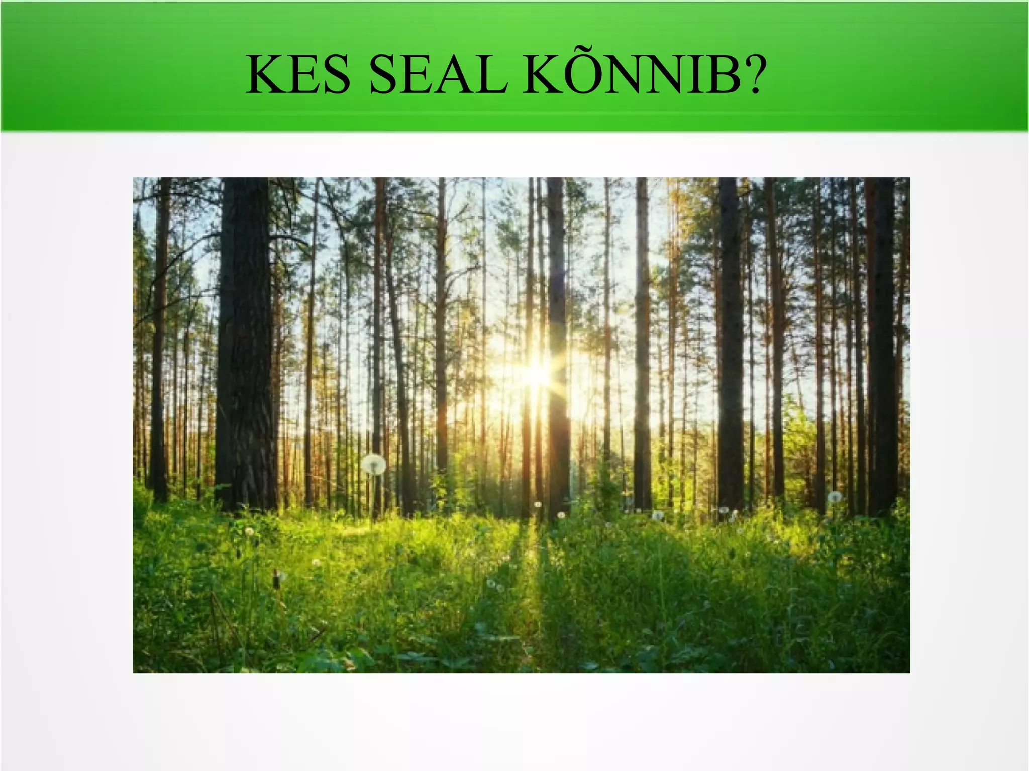 KES SEAL KÕNNIB?