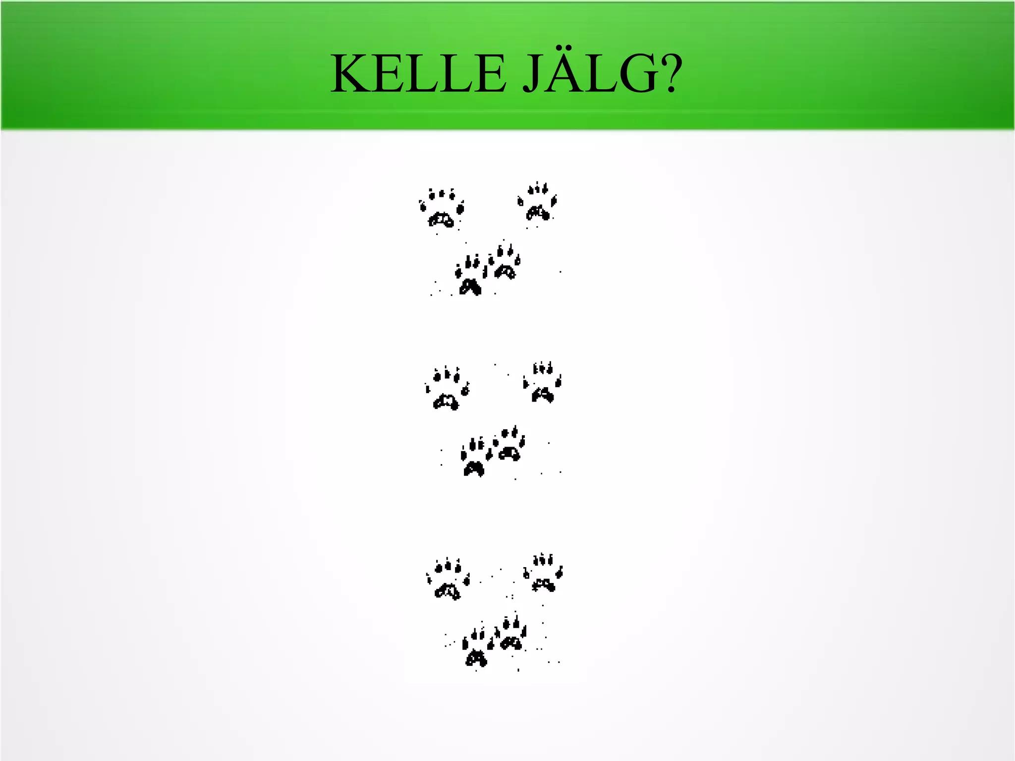KELLE JÄLG?