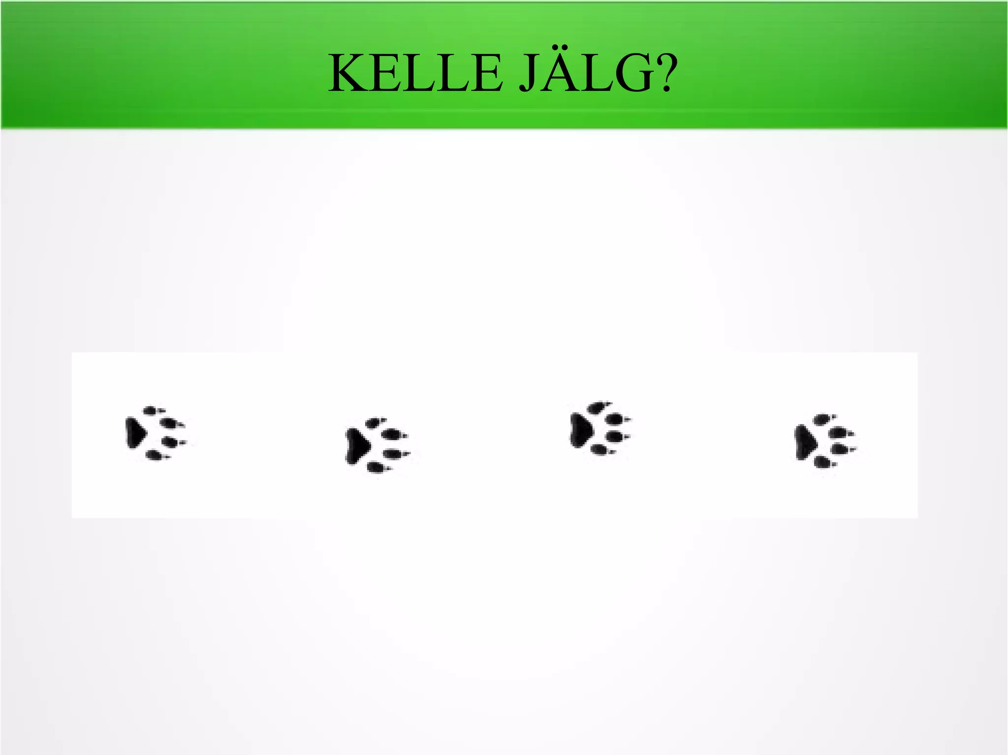 KELLE JÄLG?