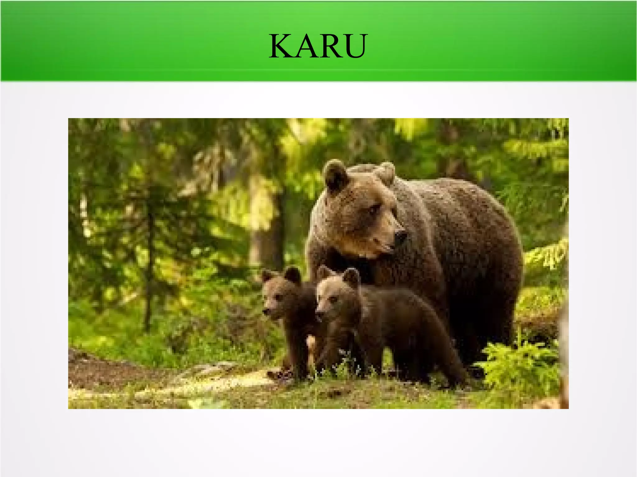 KARU