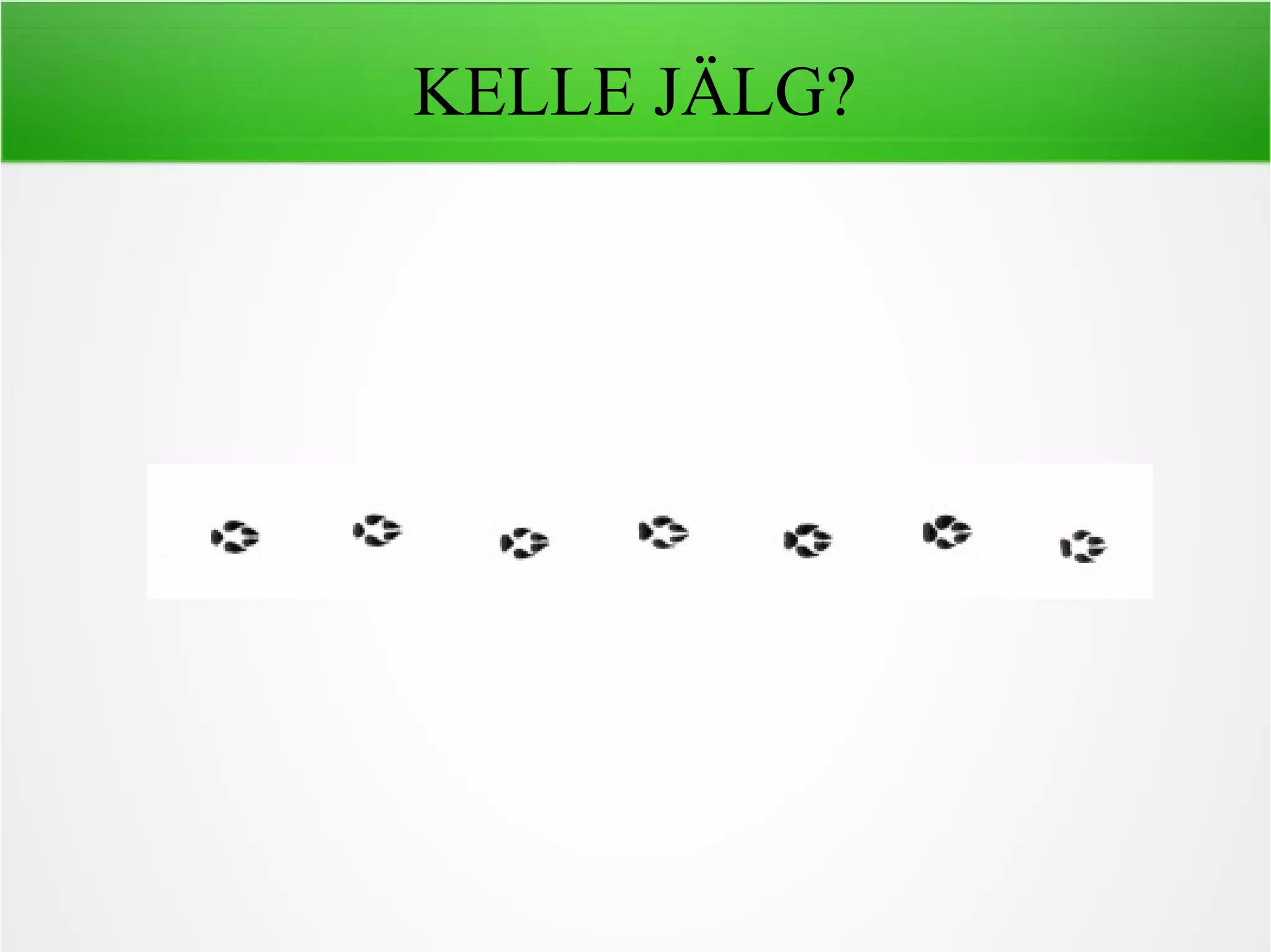 KELLE JÄLG?