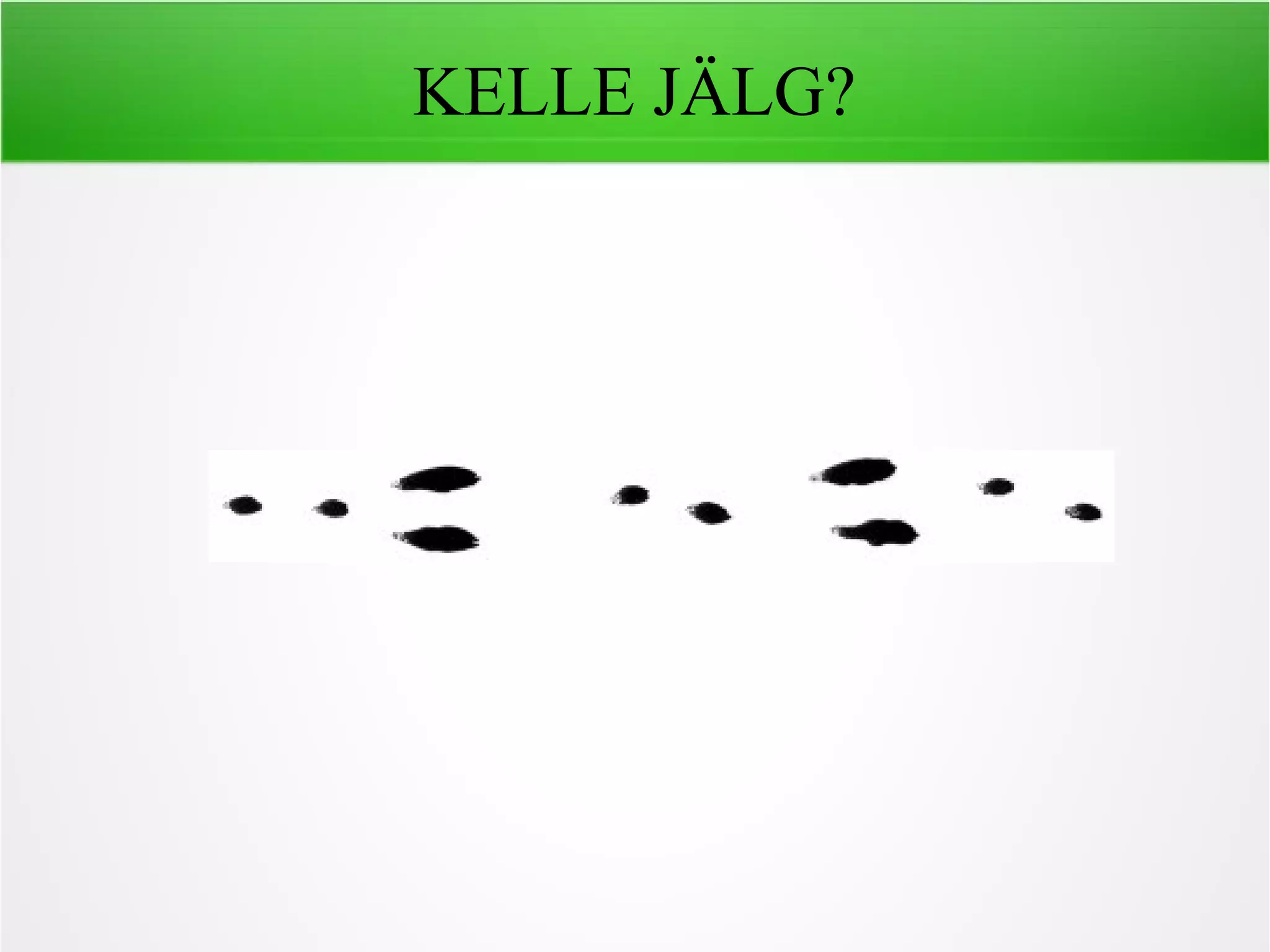 KELLE JÄLG?