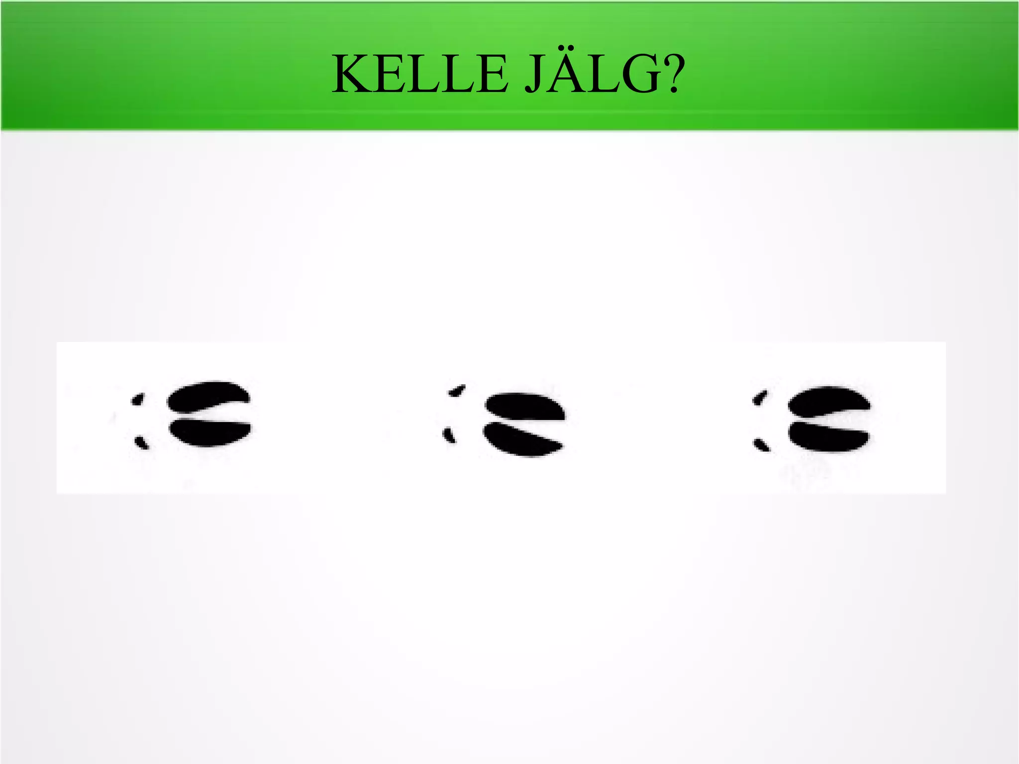KELLE JÄLG?