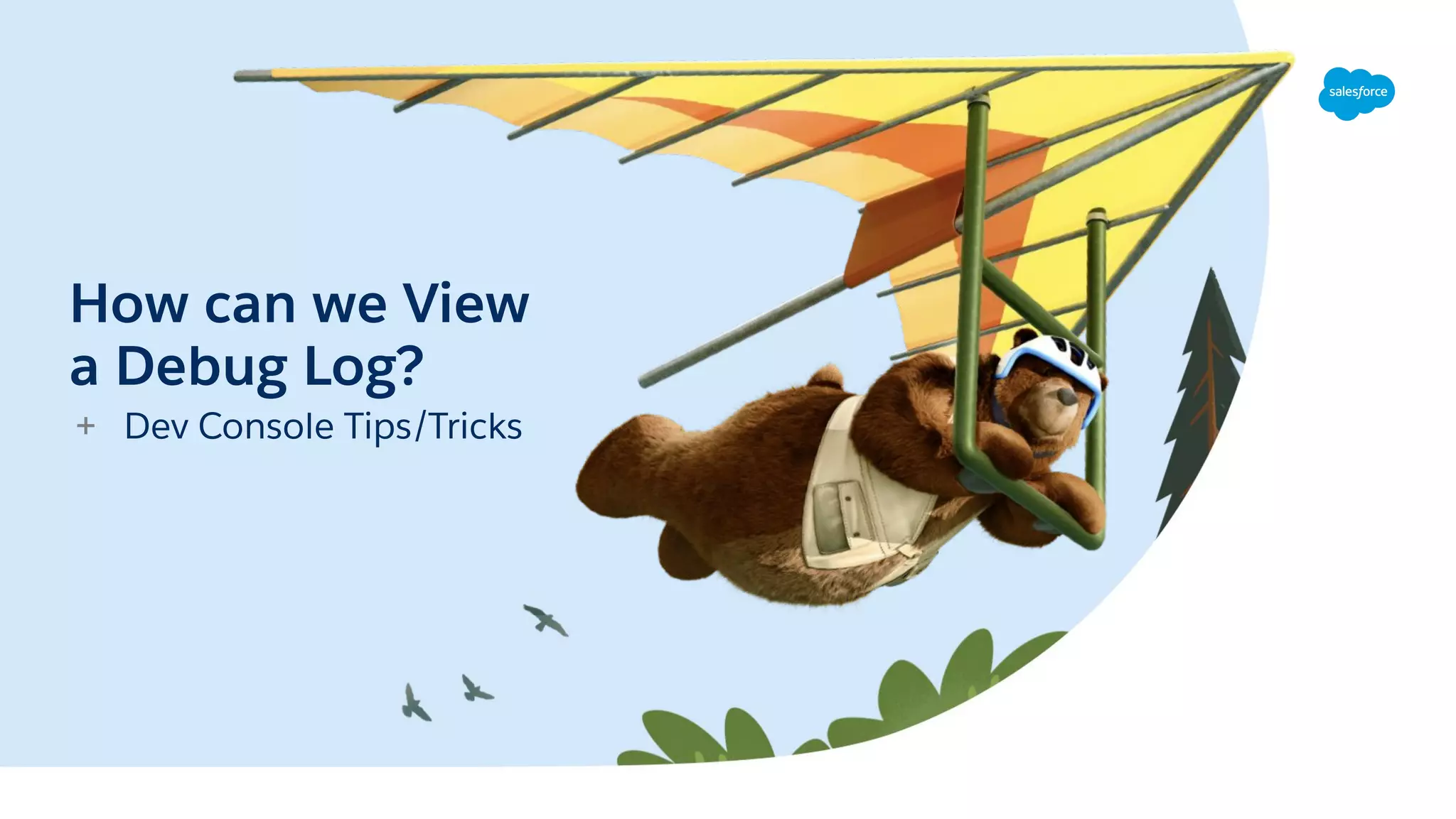 How can we View
a Debug Log?
+ Dev Console Tips/Tricks
 