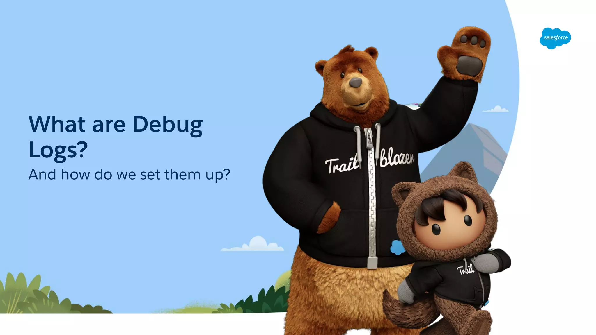 What are Debug
Logs?
And how do we set them up?
 