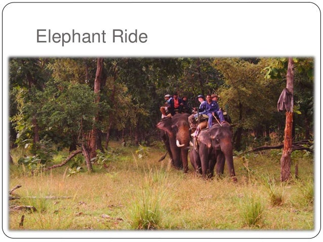 jlr jungle lodges and resorts by kalyan s patil