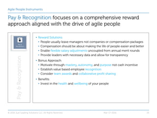 Agile People Instruments
Pay & Recognition focuses on a comprehensive reward
approach aligned with the drive of agile peop...