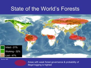 State of the World’s Forests Intact - 21% Working - 32% Lost - 47% Areas with weak forest governance & probability of ille...