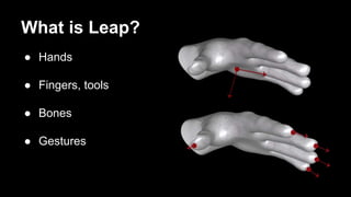 What is Leap?
● Hands
● Fingers, tools
● Bones
● Gestures
 