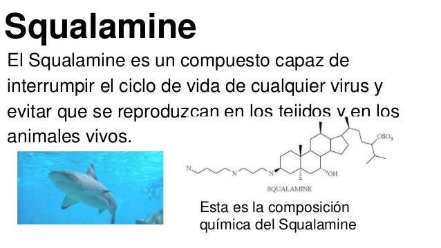 Porque El Tiburon Es Inmune Al Cancer