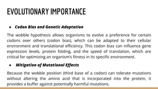 EVOLUTIONARY IMPORTANCE
● Codon Bias and Genetic Adaptation
The wobble hypothesis allows organisms to evolve a preference for certain
codons over others (codon bias), which can be adapted to their cellular
environment and translational efficiency. This codon bias can influence gene
expression levels, protein folding, and the speed of translation, which are
critical for optimizing an organism’s fitness in its specific environment.
● Mitigation of Mutational Effects
Because the wobble position (third base of a codon) can tolerate mutations
without altering the amino acid that is incorporated into the protein, it
provides a buffer against potentially harmful mutations.
 