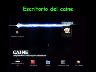 Escritorio del caine