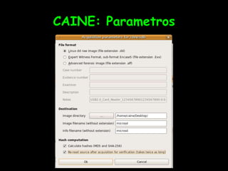 CAINE: Parametros