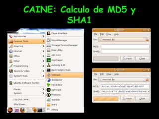 CAINE: Calculo de MD5 y SHA1