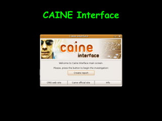 CAINE Interface