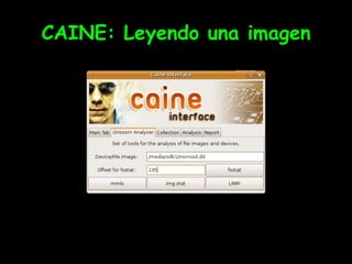 CAINE: Leyendo una imagen
