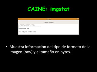 CAINE: imgstatMuestra información del tipo de formato de la imagen (raw) y el tamaño en bytes.