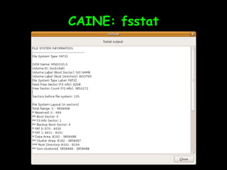 CAINE: fsstat