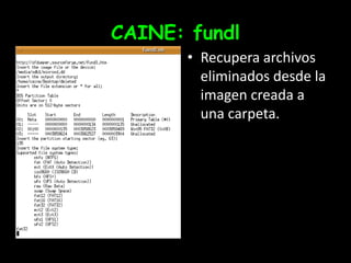 CAINE: fundlRecupera archivos eliminados desde la imagen creada a una carpeta.