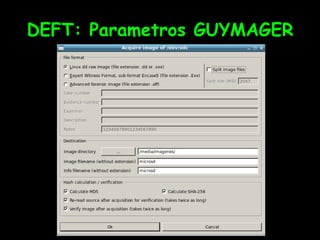 DEFT: Parametros GUYMAGER