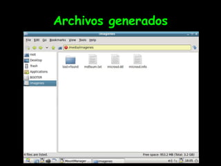 Archivos generados