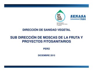 DIRECCIÓN DE SANIDAD VEGETAL
SUB DIRECCIÓN DE MOSCAS DE LA FRUTA Y
PROYECTOS FITOSANITARIOS
PERÚ
DICIEMBRE 2015
 