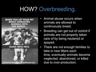 • Animal abuse occurs when
animals are allowed to
continuously breed.
• Breeding can get out of control if
animals are not properly taken
care of by being neutered or
spayed.
• There are not enough families to
take in new litters each
time, eventually animals become
neglected, abandoned, or killed
due to over-production.
HOW? Overbreeding.
 