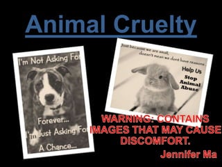 Animal Cruelty
 
