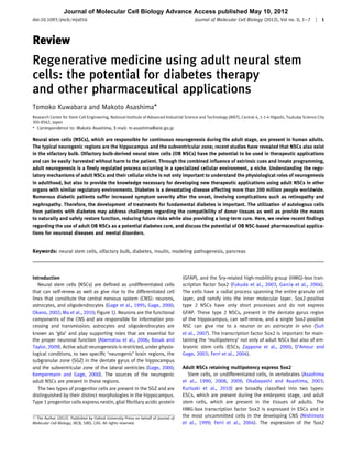 Journal of Molecular Cell Biology Advance Access published May 10, 2012
doi:10.1093/jmcb/mjs016                                                                   Journal of Molecular Cell Biology (2012), Vol no. 0, 1 – 7 | 1



Review
Regenerative medicine using adult neural stem
cells: the potential for diabetes therapy
and other pharmaceutical applications
Tomoko Kuwabara and Makoto Asashima*
Research Center for Stem Cell Engineering, National Institute of Advanced Industrial Science and Technology (AIST), Central 4, 1-1-4 Higashi, Tsukuba Science City
305-8562, Japan
* Correspondence to: Makoto Asashima, E-mail: m-asashima@aist.go.jp

Neural stem cells (NSCs), which are responsible for continuous neurogenesis during the adult stage, are present in human adults.
The typical neurogenic regions are the hippocampus and the subventricular zone; recent studies have revealed that NSCs also exist
in the olfactory bulb. Olfactory bulb-derived neural stem cells (OB NSCs) have the potential to be used in therapeutic applications
and can be easily harvested without harm to the patient. Through the combined inﬂuence of extrinsic cues and innate programming,
adult neurogenesis is a ﬁnely regulated process occurring in a specialized cellular environment, a niche. Understanding the regu-
latory mechanisms of adult NSCs and their cellular niche is not only important to understand the physiological roles of neurogenesis
in adulthood, but also to provide the knowledge necessary for developing new therapeutic applications using adult NSCs in other
organs with similar regulatory environments. Diabetes is a devastating disease affecting more than 200 million people worldwide.
Numerous diabetic patients suffer increased symptom severity after the onset, involving complications such as retinopathy and
nephropathy. Therefore, the development of treatments for fundamental diabetes is important. The utilization of autologous cells
from patients with diabetes may address challenges regarding the compatibility of donor tissues as well as provide the means
to naturally and safely restore function, reducing future risks while also providing a long-term cure. Here, we review recent ﬁndings
regarding the use of adult OB NSCs as a potential diabetes cure, and discuss the potential of OB NSC-based pharmaceutical applica-
tions for neuronal diseases and mental disorders.


Keywords: neural stem cells, olfactory bulb, diabetes, insulin, modeling pathogenesis, pancreas



Introduction                                                                        (GFAP), and the Sry-related high-mobility group (HMG)-box tran-
   Neural stem cells (NSCs) are deﬁned as undifferentiated cells                    scription factor Sox2 (Fukuda et al., 2003, Garcia et al., 2004).
that can self-renew as well as give rise to the differentiated cell                 The cells have a radial process spanning the entire granule cell
lines that constitute the central nervous system (CNS): neurons,                    layer, and ramify into the inner molecular layer. Sox2-positive
astrocytes, and oligodendrocytes (Gage et al., 1995; Gage, 2000;                    type 2 NSCs have only short processes and do not express
Okano, 2002; Ma et al., 2010; Figure 1). Neurons are the functional                 GFAP. These type 2 NSCs, present in the dentate gyrus region
components of the CNS and are responsible for information pro-                      of the hippocampus, can self-renew, and a single Sox2-positive
cessing and transmission; astrocytes and oligodendrocytes are                       NSC can give rise to a neuron or an astrocyte in vivo (Suh
known as ‘glia’ and play supporting roles that are essential for                    et al., 2007). The transcription factor Sox2 is important for main-
the proper neuronal function (Abematsu et al., 2006; Basak and                      taining the ‘multipotency’ not only of adult NSCs but also of em-
Taylor, 2009). Active adult neurogenesis is restricted, under physio-               bryonic stem cells (ESCs; Zappone et al., 2000; D’Amour and
logical conditions, to two speciﬁc ‘neurogenic’ brain regions, the                  Gage, 2003; Ferri et al., 2004).
subgranular zone (SGZ) in the dentate gyrus of the hippocampus
and the subventricular zone of the lateral ventricles (Gage, 2000;                  Adult NSCs retaining multipotency express Sox2
Kempermann and Gage, 2000). The sources of the neurogenic                             Stem cells, or undifferentiated cells, in vertebrates (Asashima
adult NSCs are present in these regions.                                            et al., 1990, 2008, 2009; Okabayashi and Asashima, 2003;
   The two types of progenitor cells are present in the SGZ and are                 Kurisaki et al., 2010) are broadly classiﬁed into two types:
distinguished by their distinct morphologies in the hippocampus.                    ESCs, which are present during the embryonic stage, and adult
Type 1 progenitor cells express nestin, glial ﬁbrillary acidic protein              stem cells, which are present in the tissues of adults. The
                                                                                    HMG-box transcription factor Sox2 is expressed in ESCs and in
# The Author (2012). Published by Oxford University Press on behalf of Journal of   the most uncommitted cells in the developing CNS (Nishimoto
Molecular Cell Biology, IBCB, SIBS, CAS. All rights reserved.                       et al., 1999; Ferri et al., 2004). The expression of the Sox2
 
