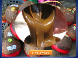CALAMAY
 