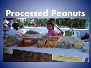 Processed Peanuts
 