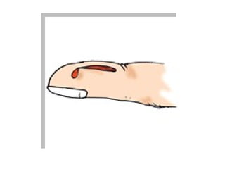 Teaching English Conversation