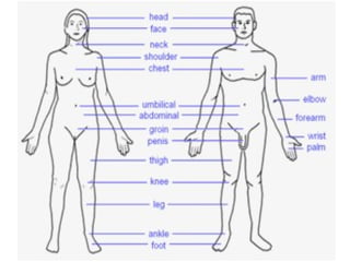 Teaching English Conversation