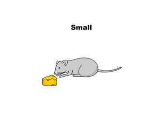 Teaching English Conversation