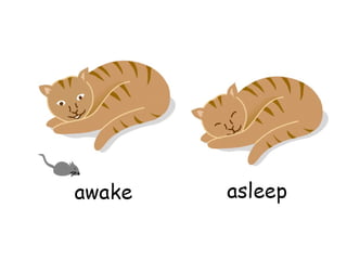 Teaching English Conversation