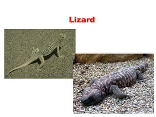 Teaching English Conversation