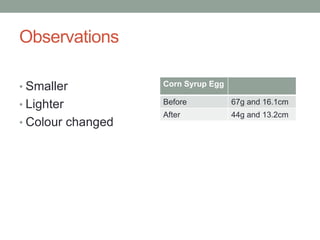 Observations
• Smaller Corn Syrup Egg
• Lighter Before 67g and 16.1cm
After 44g and 13.2cm
• Colour changed