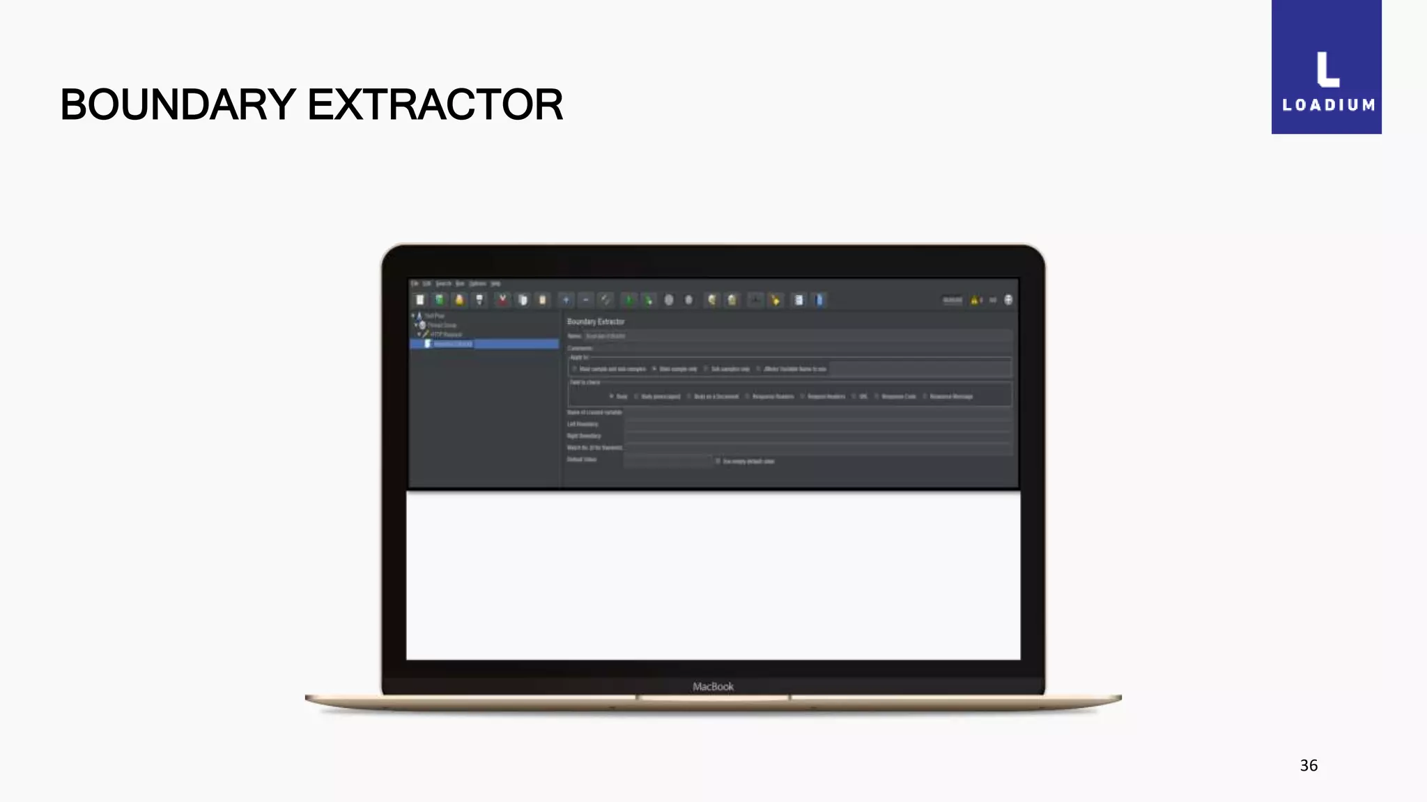 BOUNDARY EXTRACTOR
36
 