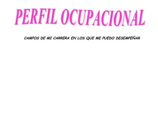 PERFIL OCUPACIONAL CAMPOS DE MI CARRERA EN LOS QUE ME PUEDO DESEMPEÑAR