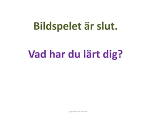 Bildspelet är slut. 
Vad har du lärt dig? 
Inger Bäckström, Burträsk 
