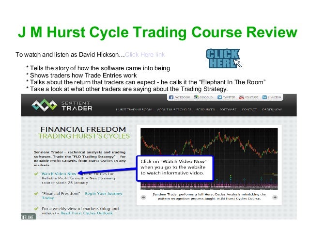 Trading as a business options video course review